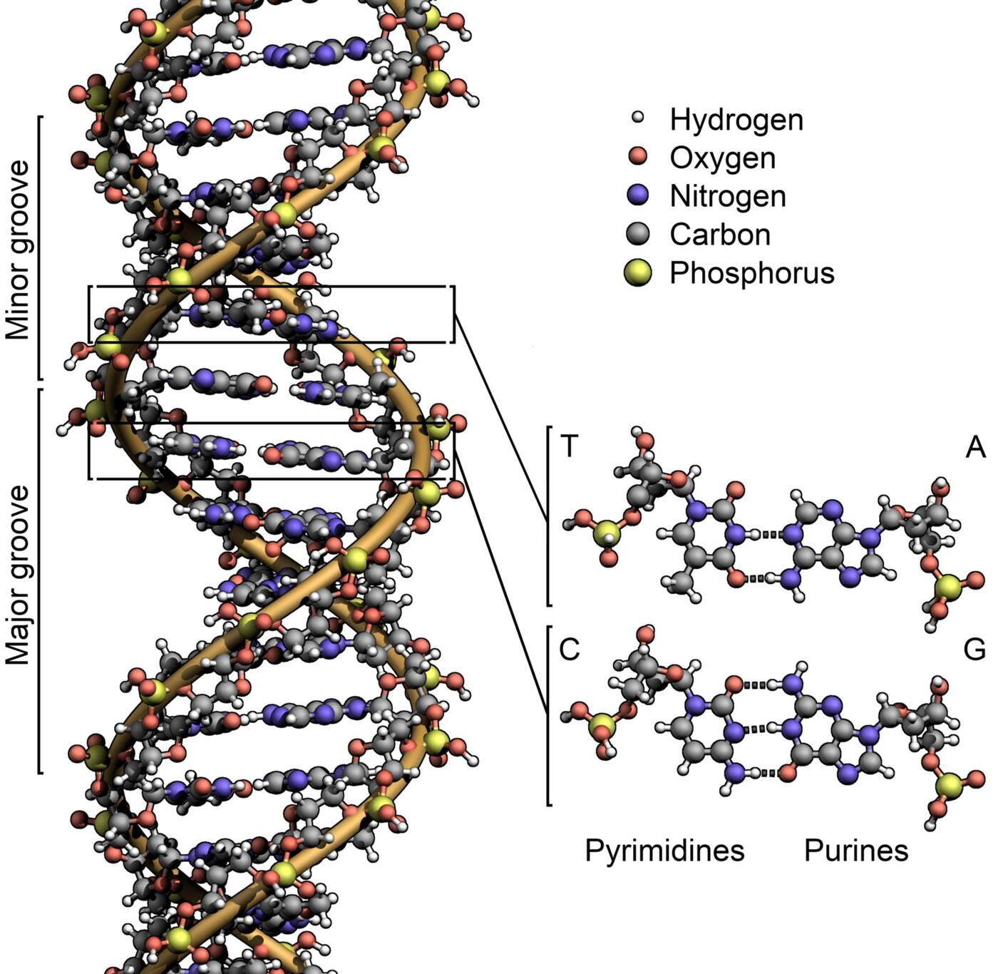 Navigation - link to science