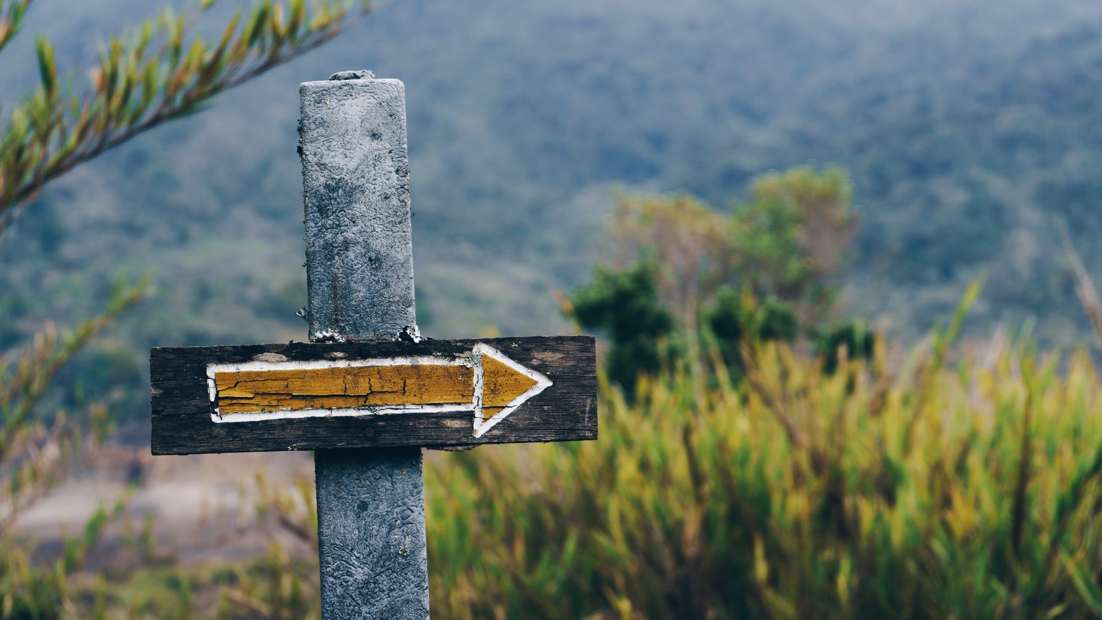 Navigation - link to world/philosophy/decision